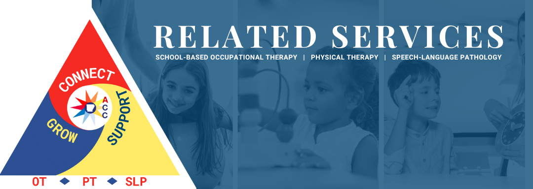 Link to School Based Therapy